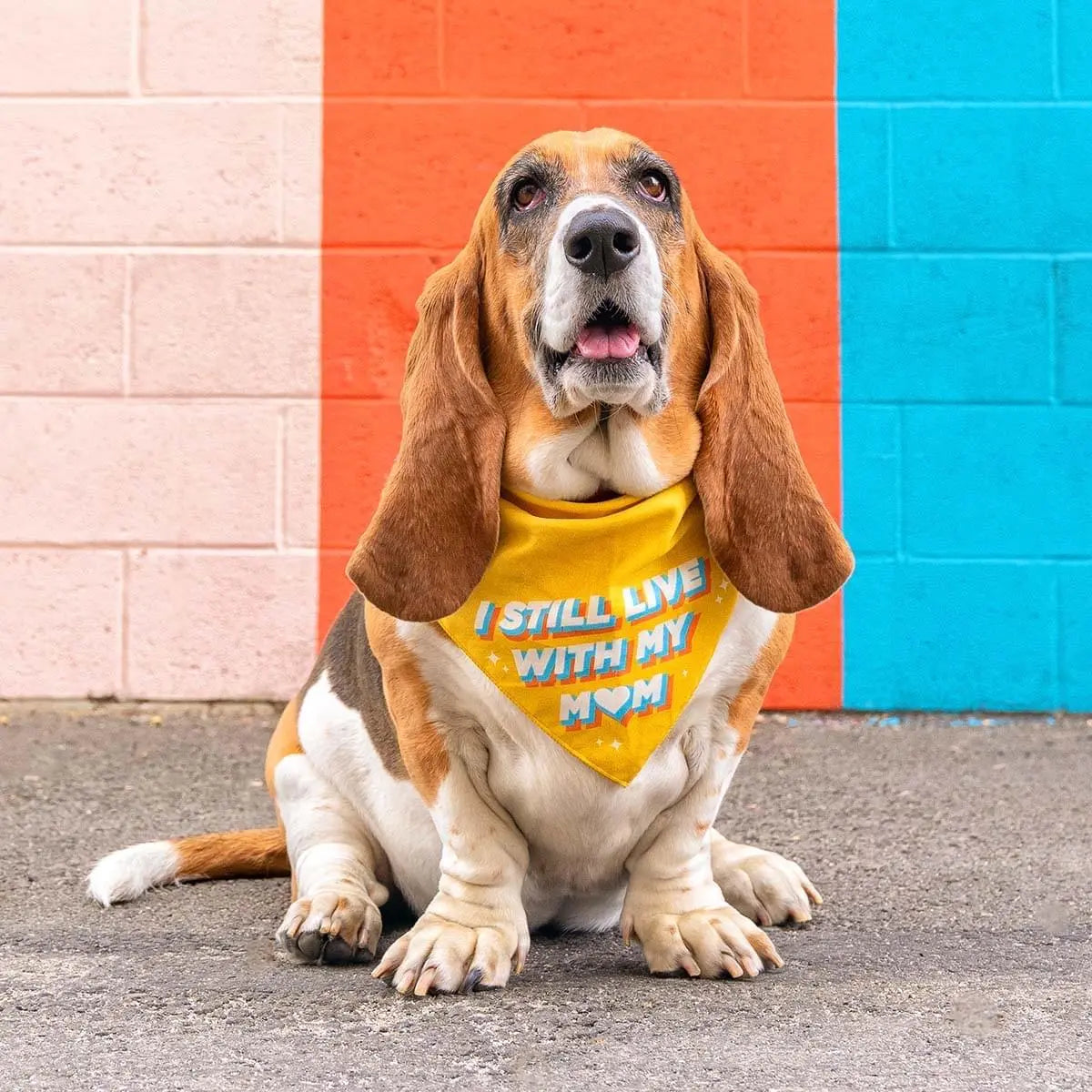 Best Dog Bandana I Still Live With My Mom Chill Paws