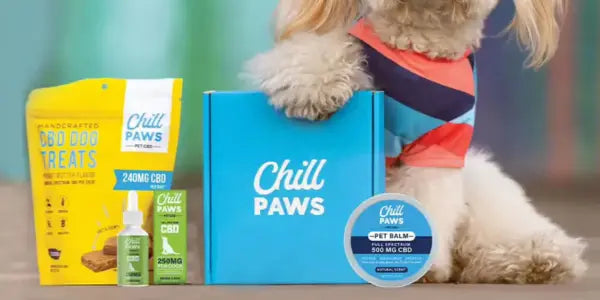 Anxiety chews for dogs shown in Chill Paws product lineup beside a small dog and blue gift box.