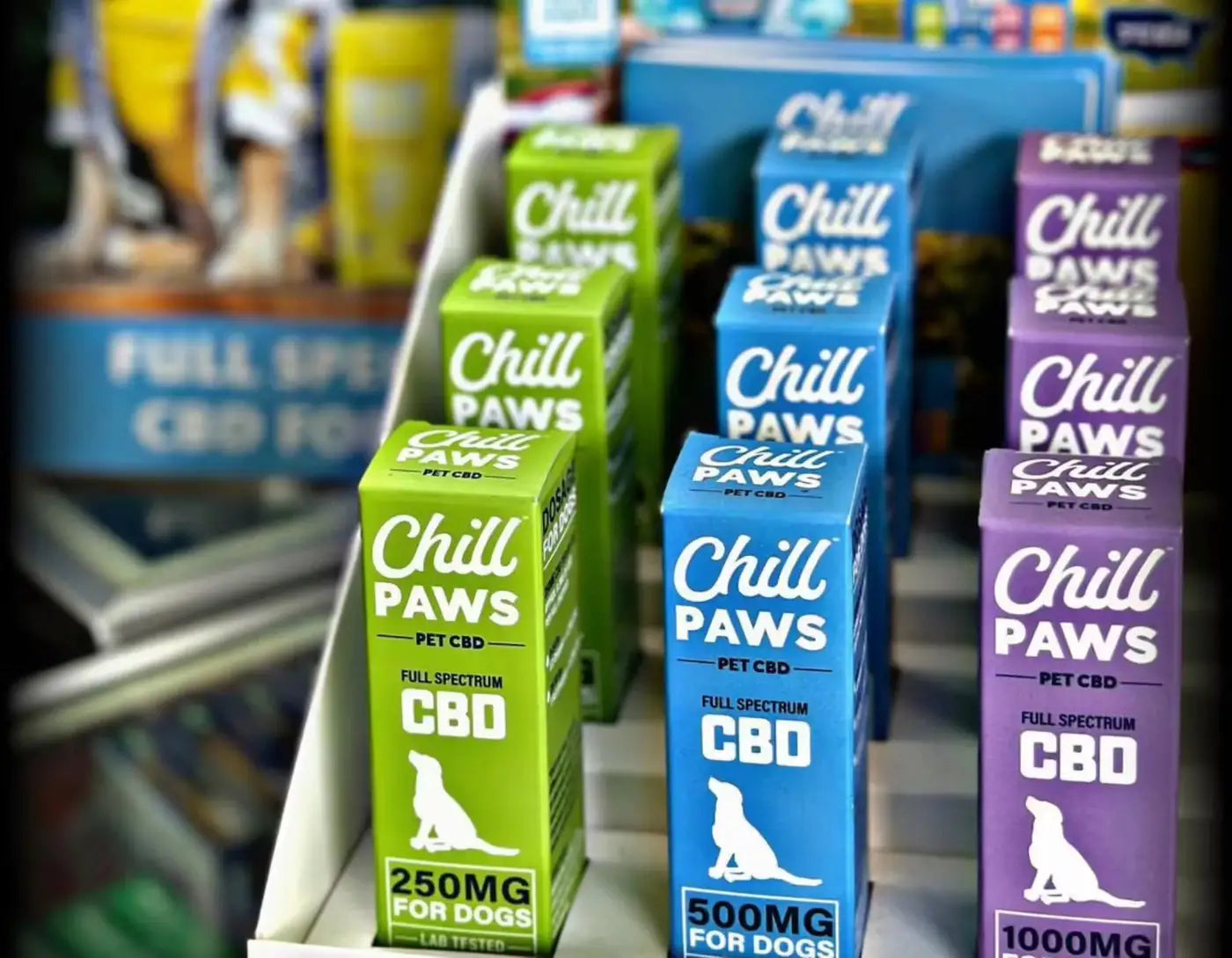 cbd for dog anxiety