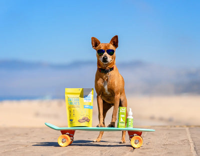 Benefits Of CBD For Your Pet's Health & Wellness