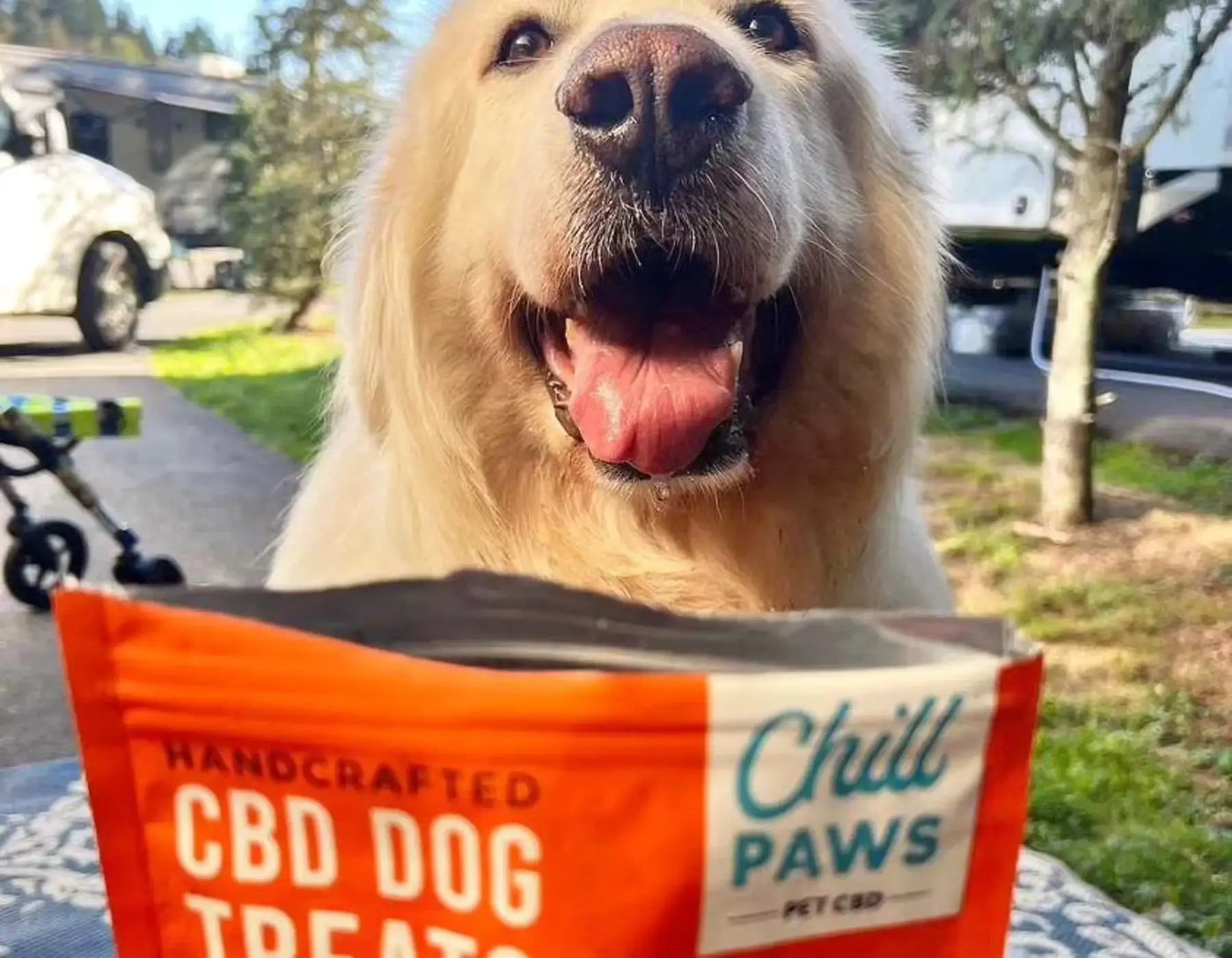 best natural ingredients in dog weed treats
