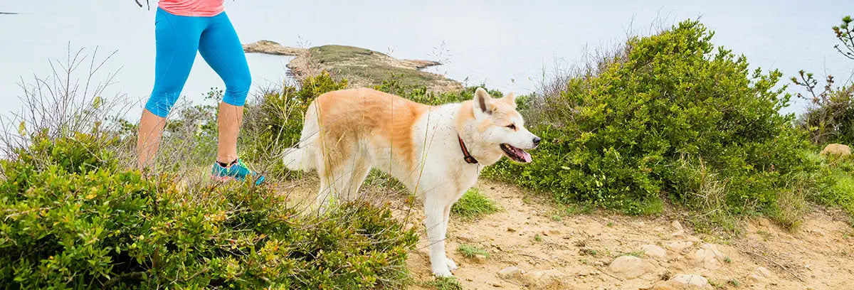How Can CBD Help After a Hike or Workout Session?