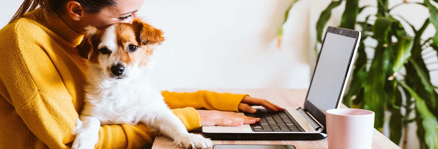 Going Back to the Office: How to Help Your Pet Deal with Separation Anxiety