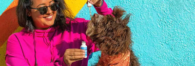 How to Choose the Best CBD Oil for Your Dog