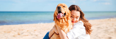 5 Dog Separation Anxiety Solutions