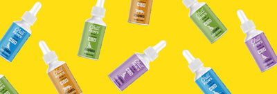 Is Pet CBD the Same as Human CBD