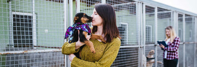 How to Find the Right Pet For You