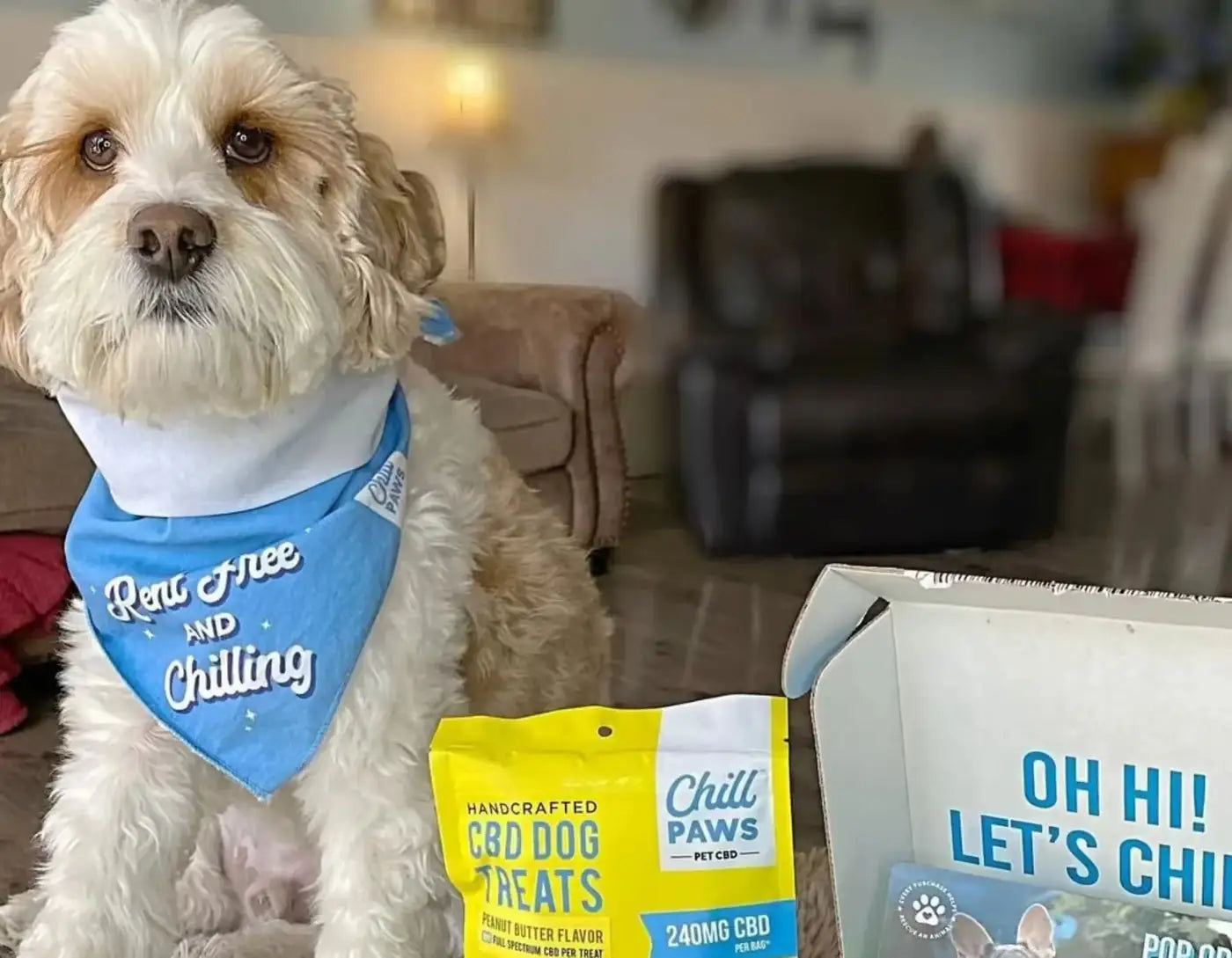 Dog cbd biscuits online