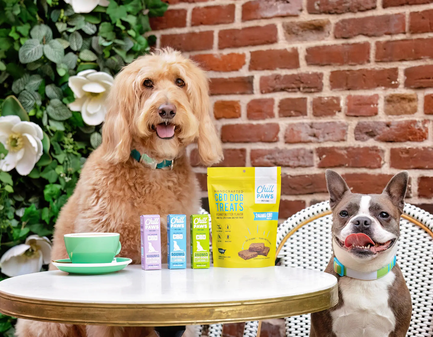 CBD edibles for dogs