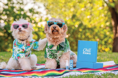 CBD For Pets FAQ