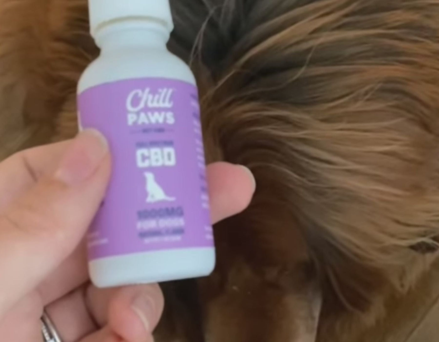 CBD drops for dogs