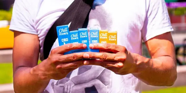 Pet wellness CBD products from Chill Paws displayed in a man’s hands outdoors.