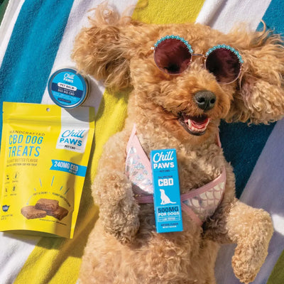 Comparing CBD Delivery Methods: Oral vs. Food Applications for Dogs
