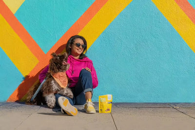 How Might CBD Reduce Your Dog’s Barking?
