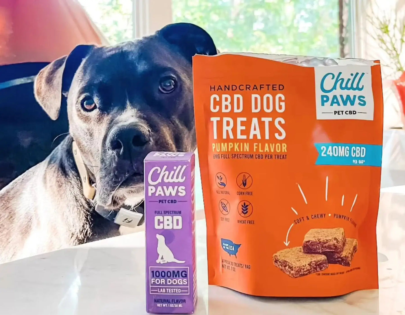 thc treats for pain management in dogs