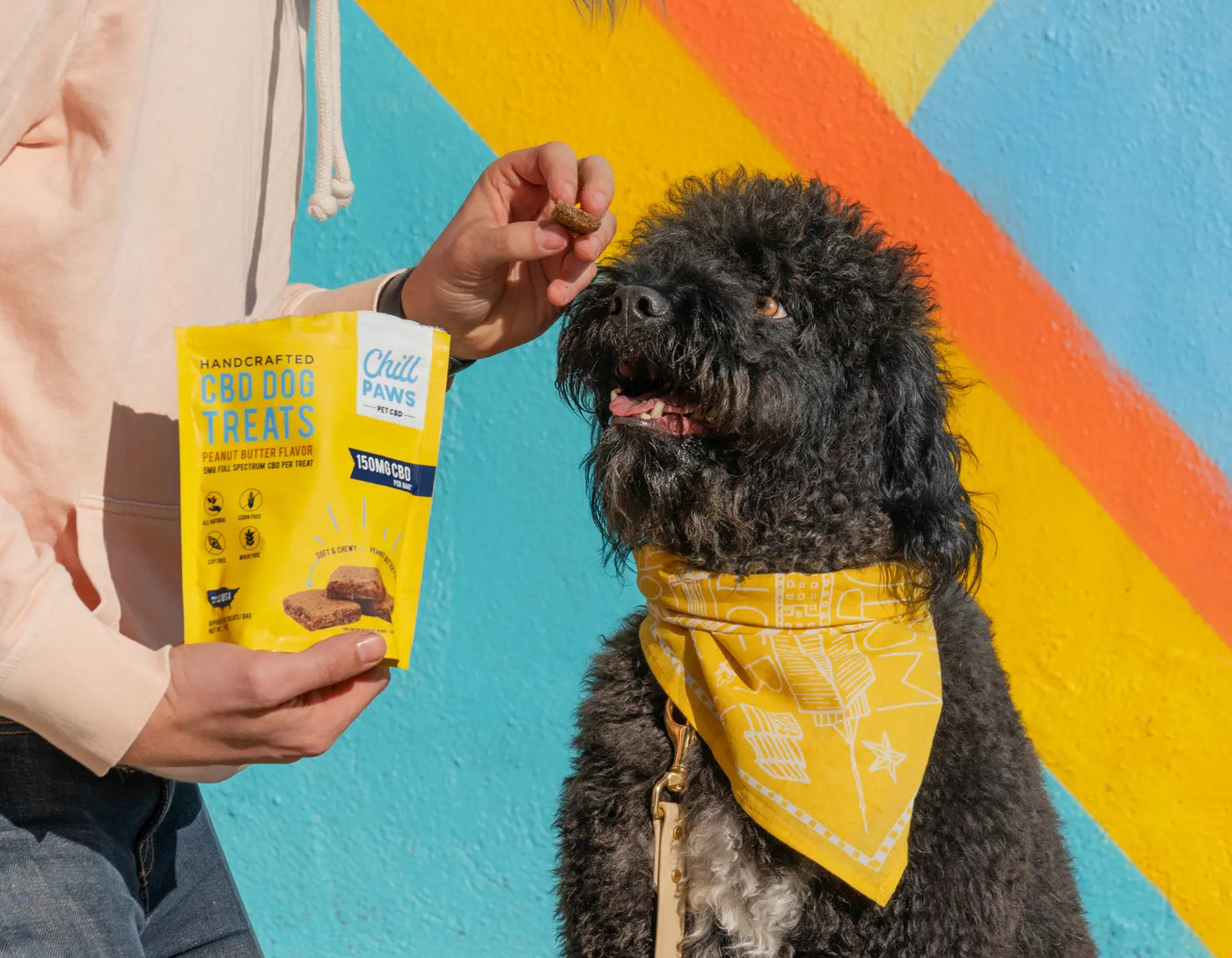 order CBD oil for pets online