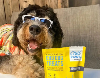 Tips for Using CBD Dog Treats During Trips