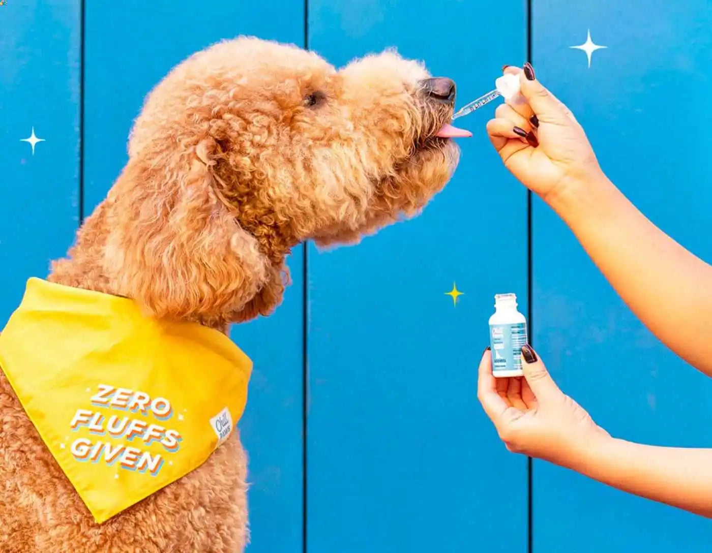 cbd dog sleep aid