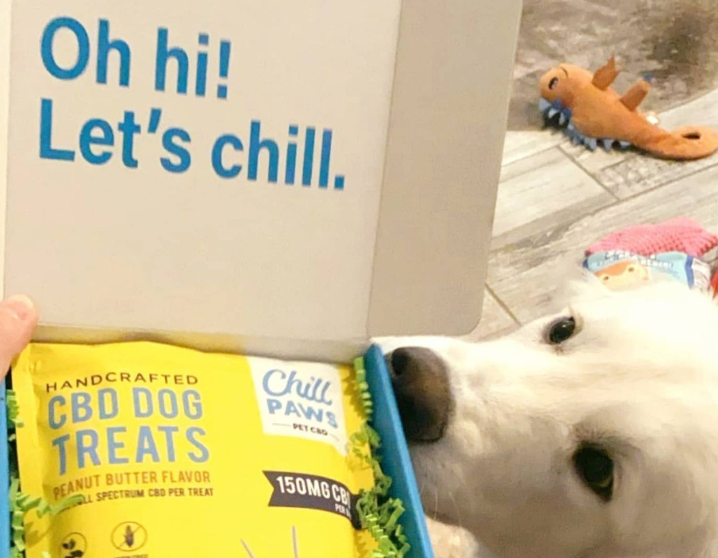 hemp dog treats