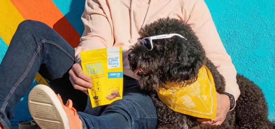 hemp treats for dogs anxiety