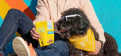 Hemp In Dog Treats: A Healthy Alternative