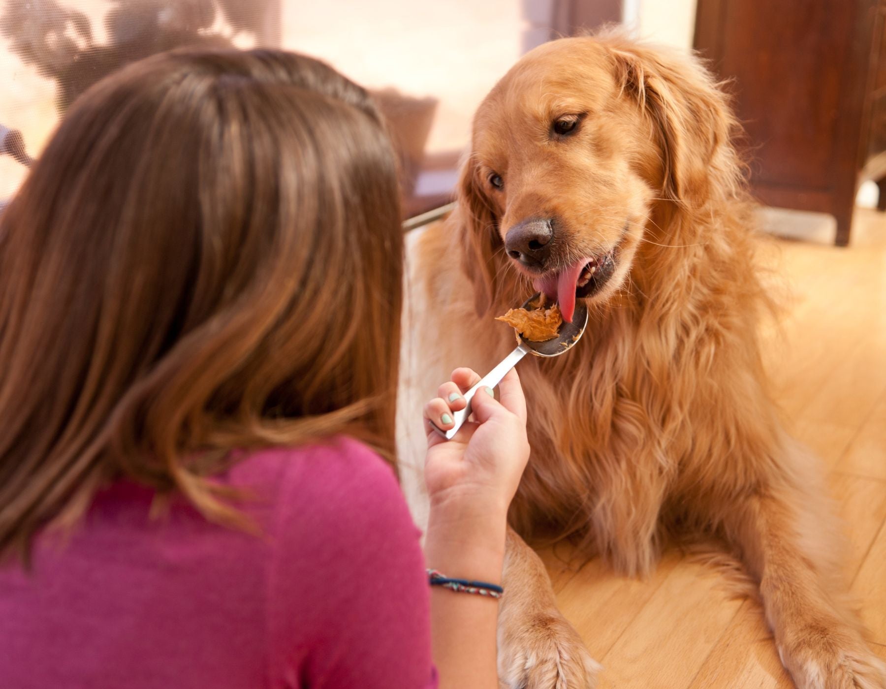 Can you give dogs crunchy peanut butter shop