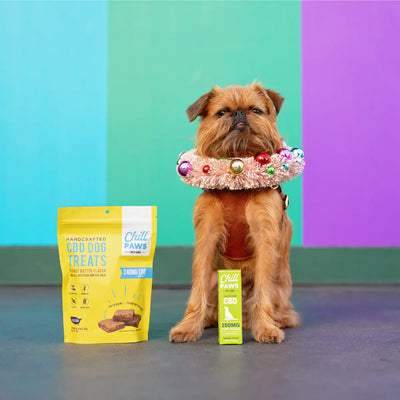 CBD For Pet Recovery: Easing Pain And Promoting Relaxation