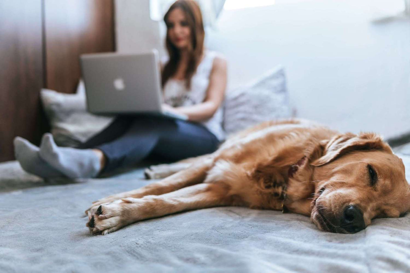 A woman works on her laptop while a tan dog lays beside her