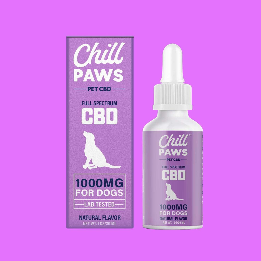 Food supplement for dogs: CBD - Natural Shelter