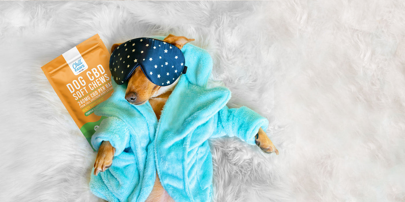 Dog CBD soft chews beside a relaxed dog in a blue robe and sleep mask lying on a fluffy white surface.