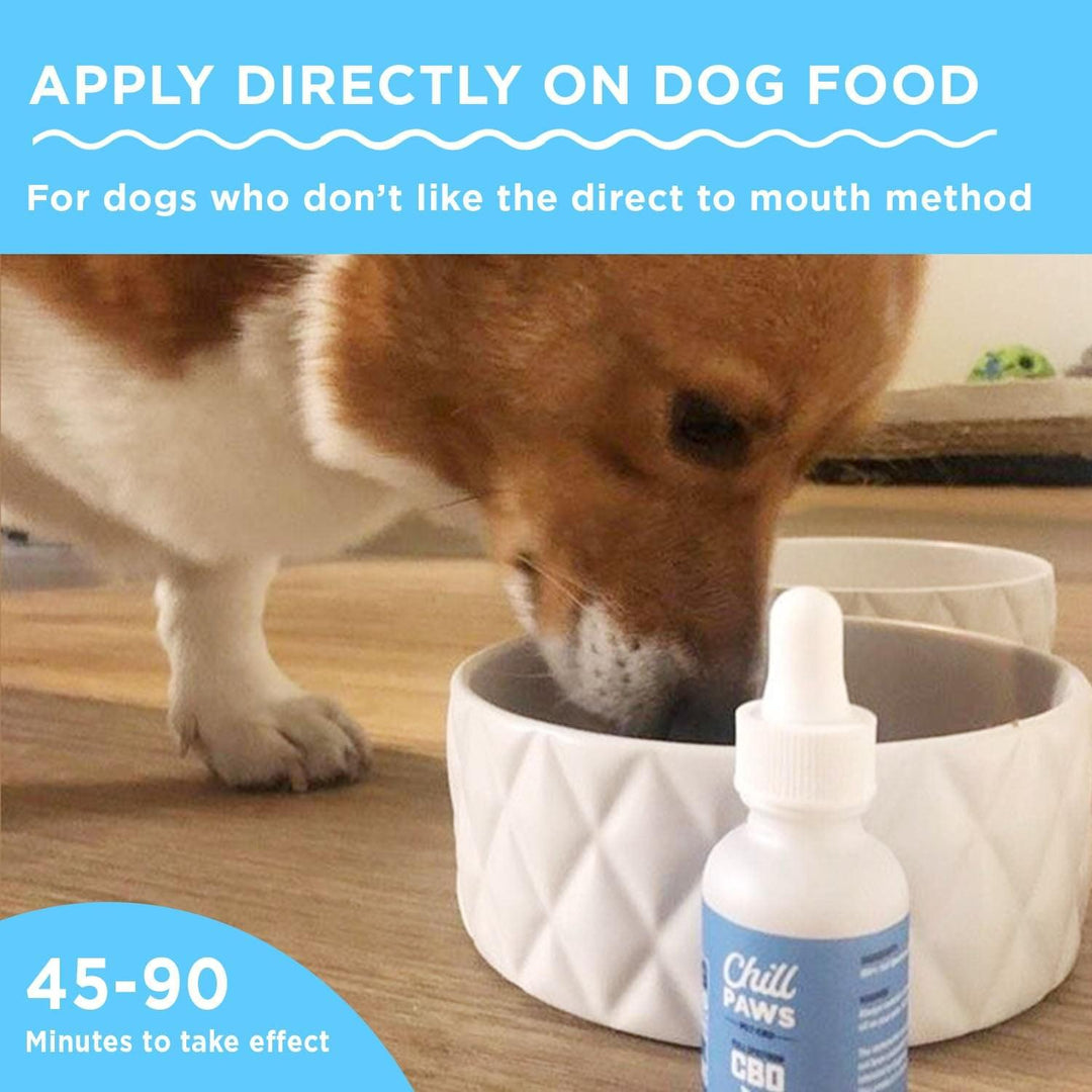 Full Spectrum CBD Oil For Dogs - 250MG | Chill Paws