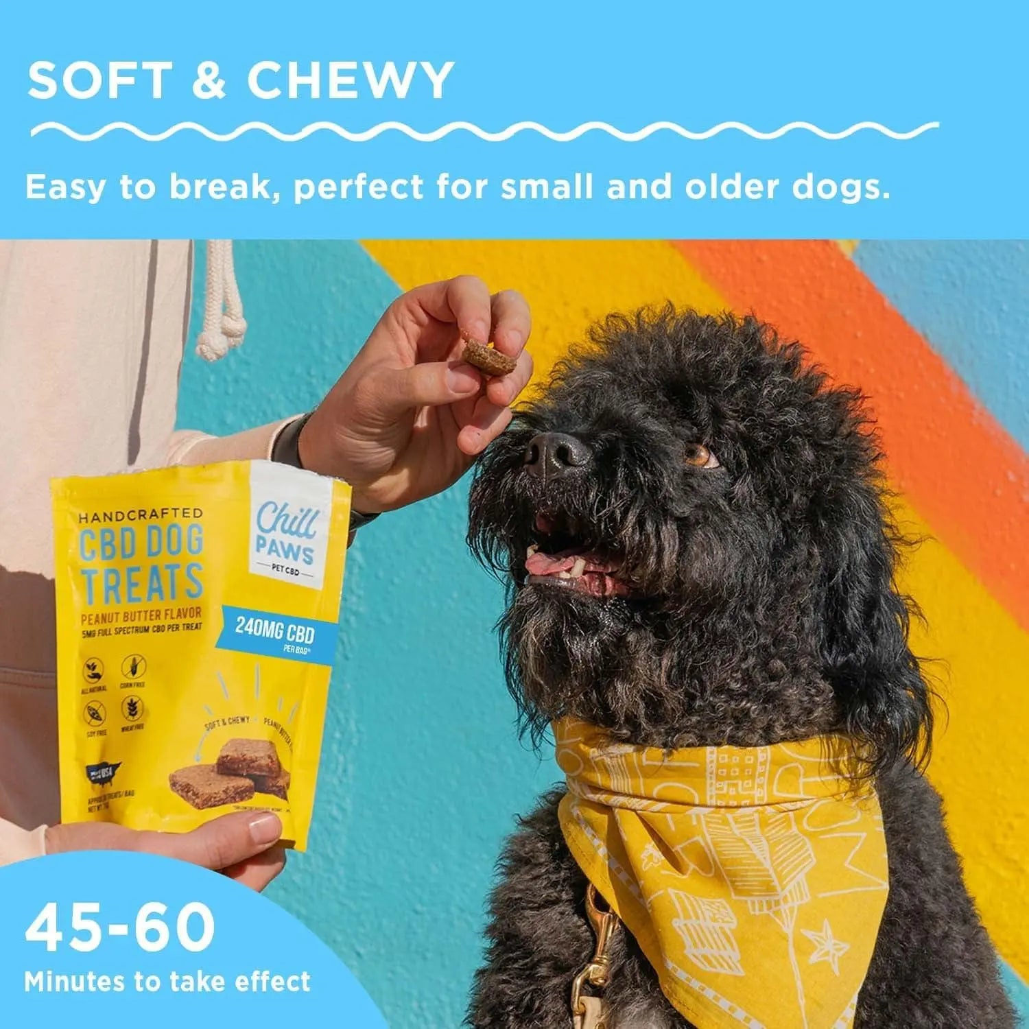 Peanut Butter CBD Dog Treats 240MG Chill Paws