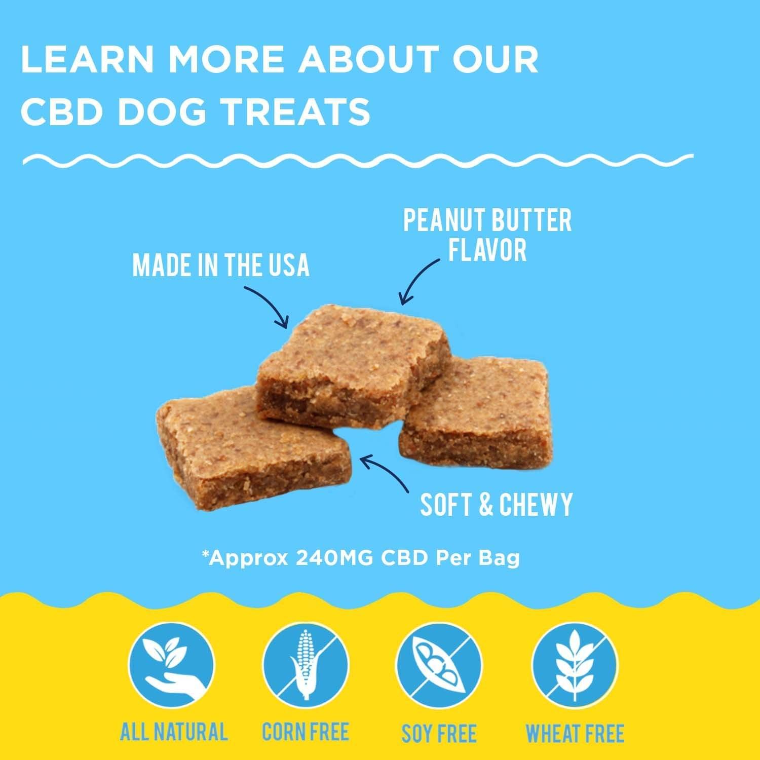 CBD For Pets Shop Chill Paws