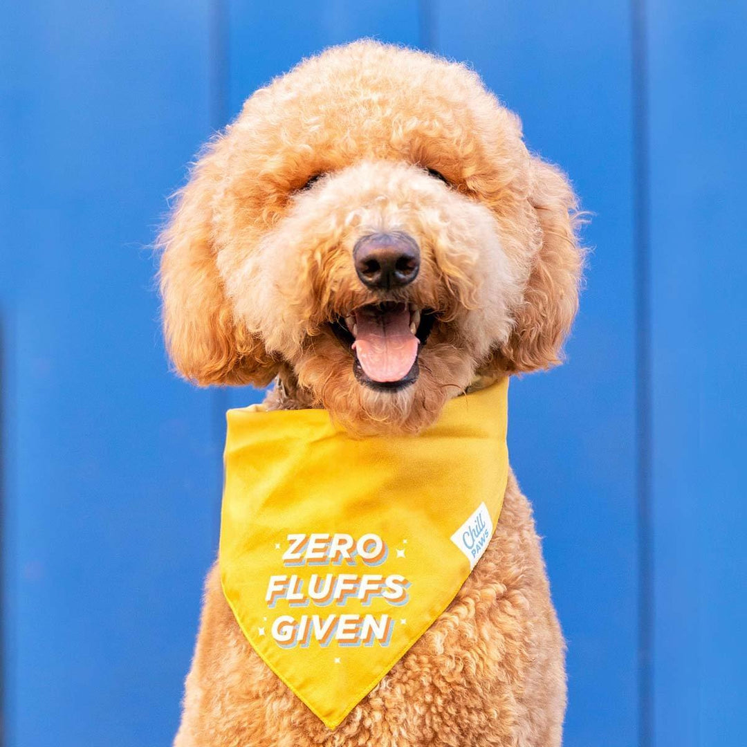 Pet Bandana | CBD Oil To Help Your Dog Relax | Chill Paws