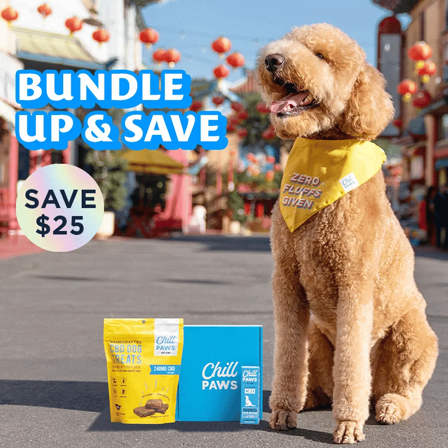 CBD For Dogs Chill Paws